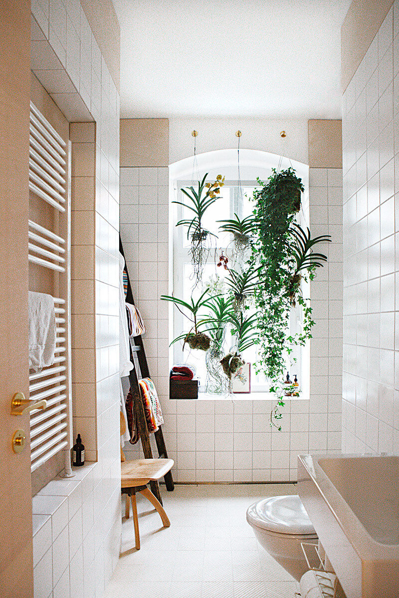Des plantes vertes dans la salle de bain frenchy fancy