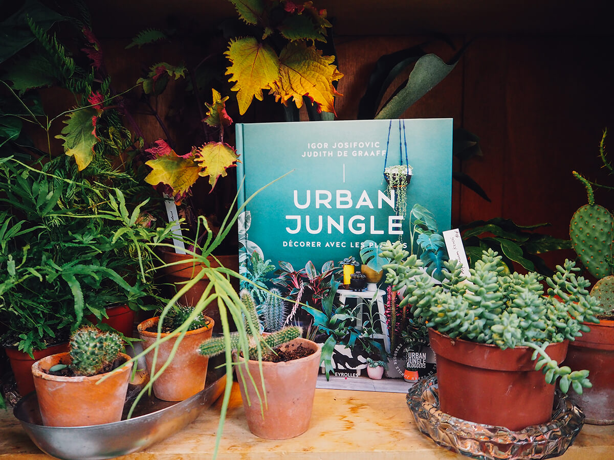 Livre Urban Jungle, décorer avec les plantes