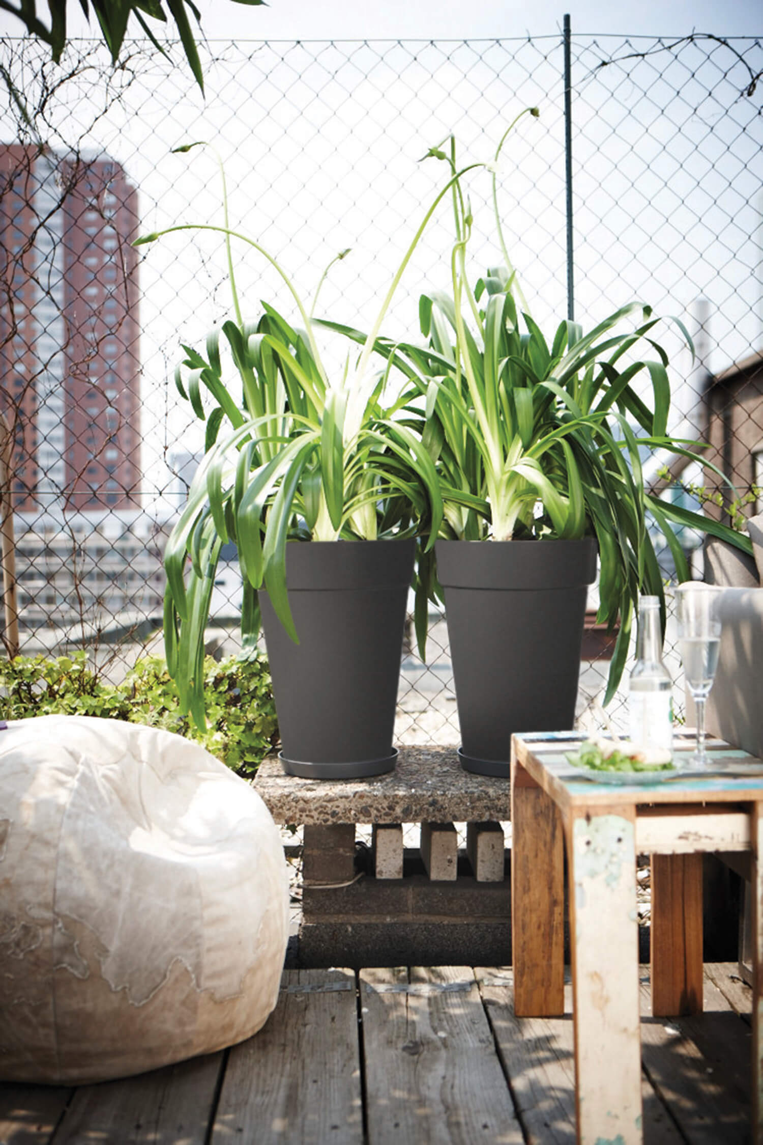 Elho fait rentrer la nature dans nos vies  Pot de fleur interieur, Plante  verte, Deco plantes interieur