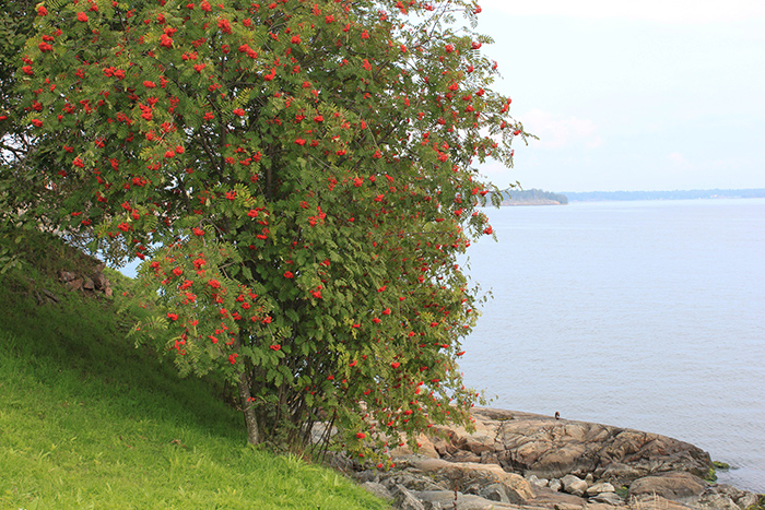 Helsinki, je suis tombée amoureuse des paysages de Suomenlinna