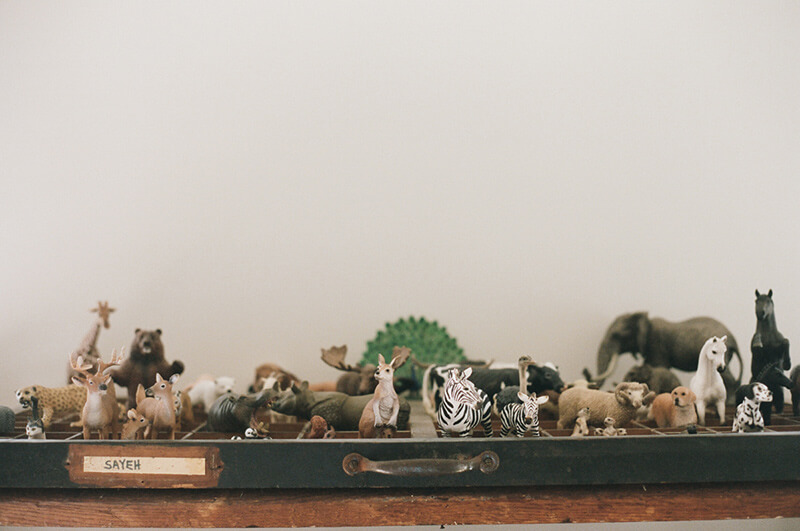 Collection de figurines animaux