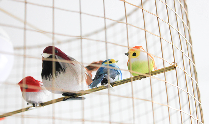 Suspension cage à oiseaux 