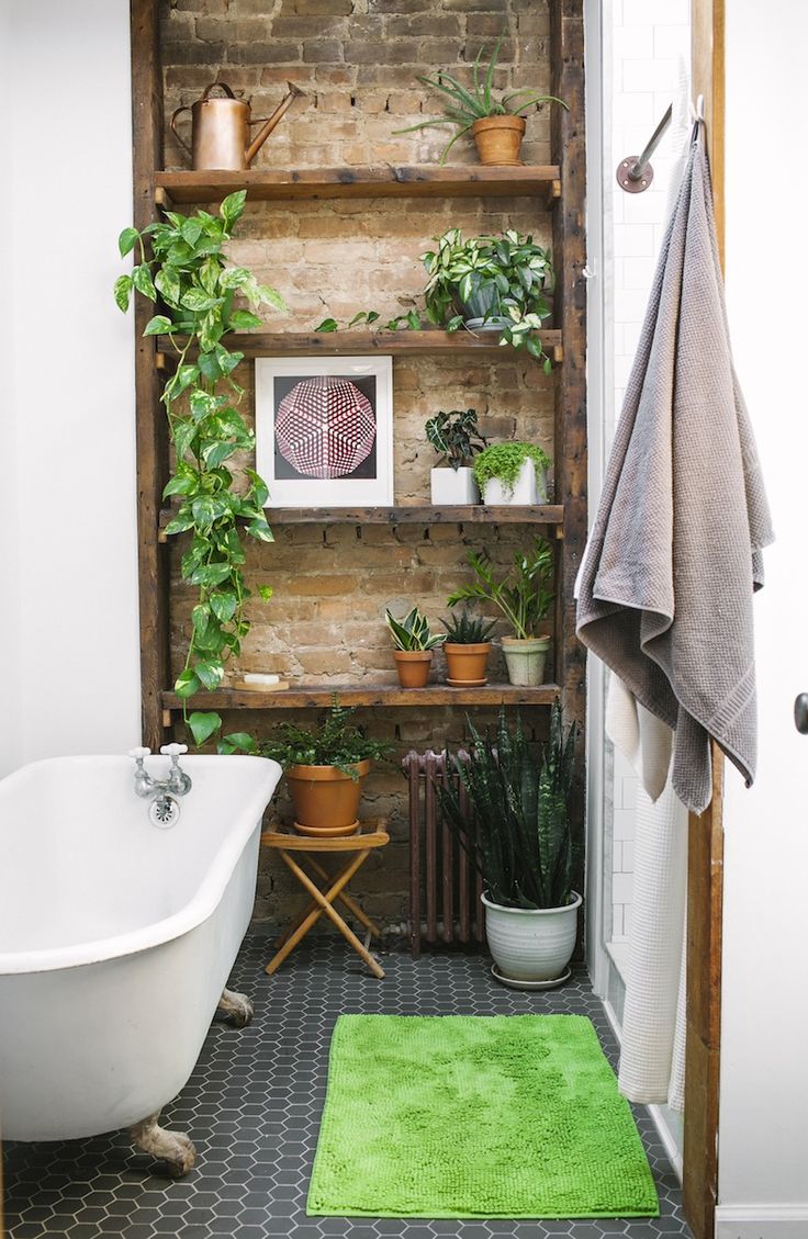 Quelles plantes vertes dans une salle de bain ? 