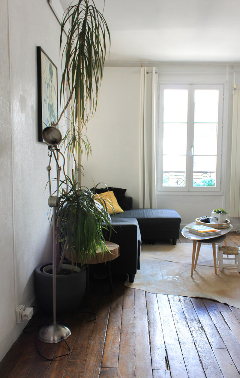 Intérieur parisien