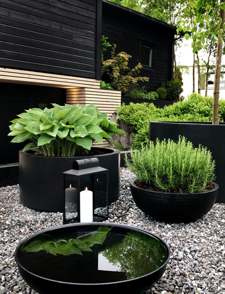 Pot noir plante jardin 