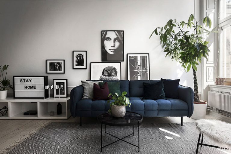 Comment décorer son salon avec un canapé bleu