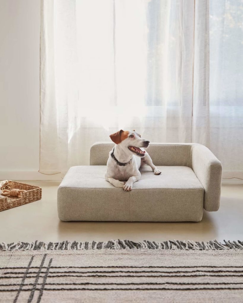 Canapé design pour chien