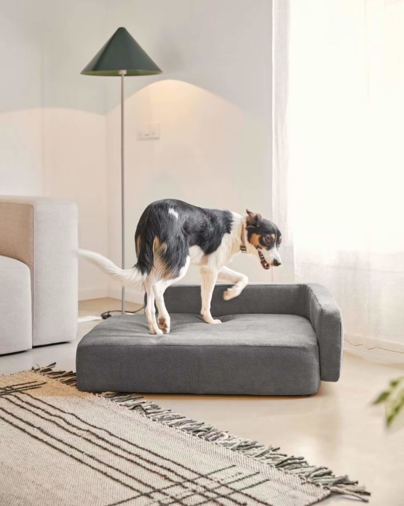 Canapé design pour chien